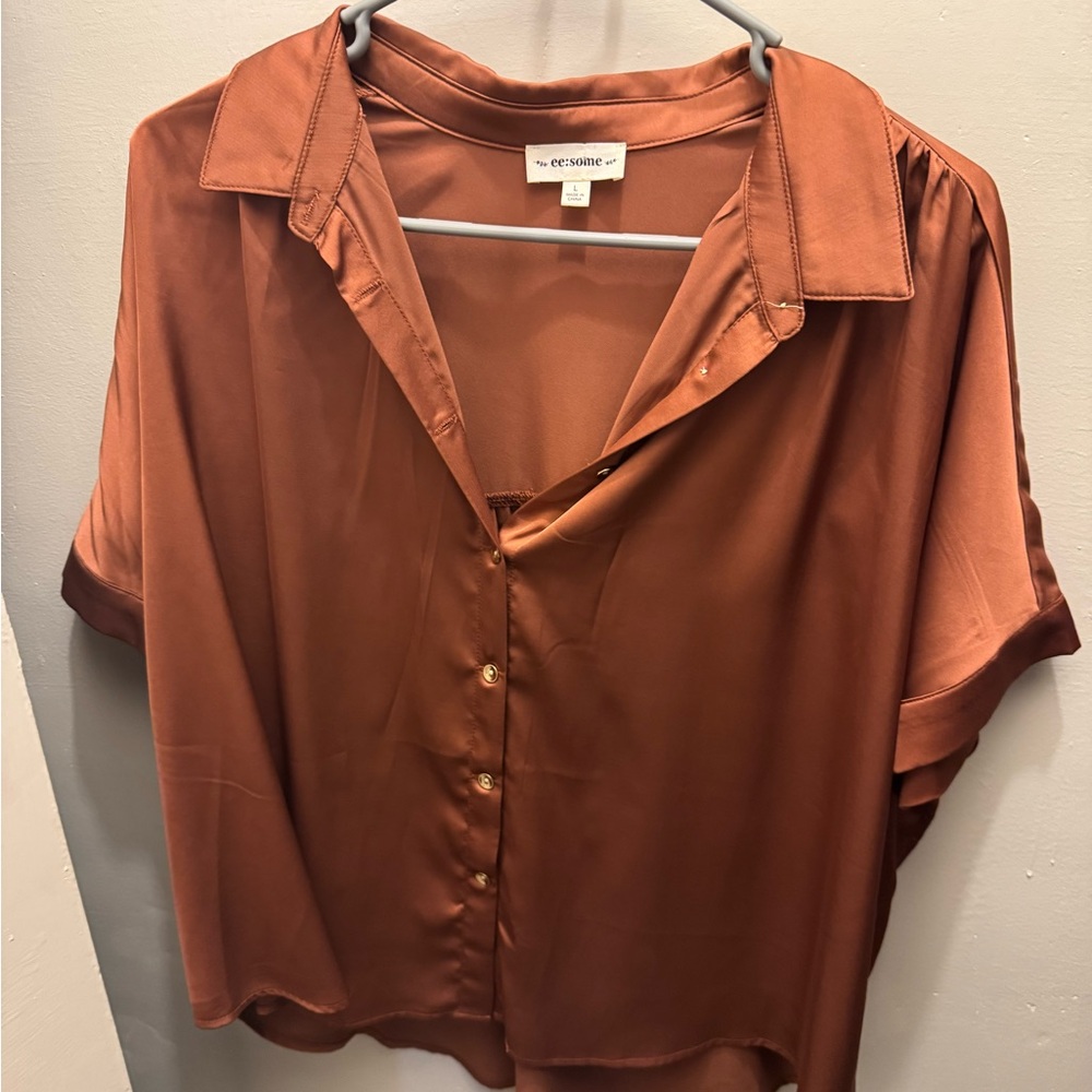 Eesome Terracotta Button-Up Blouse